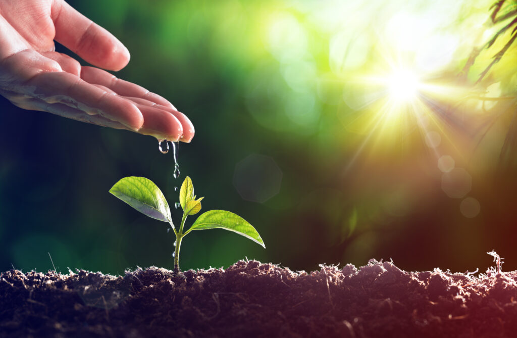 The Personal Side of Leadership Development